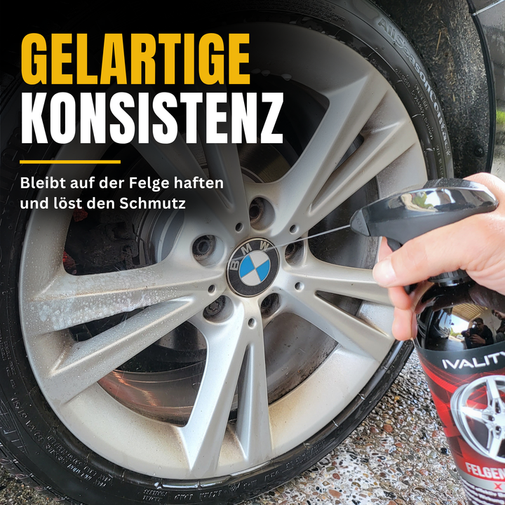 #grosse_felgenreiniger-und-professional-felgenbuerste